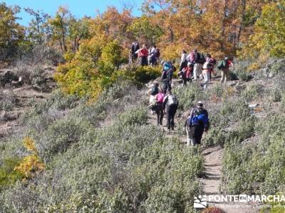 Excursionismo y senderismo, Parque Natural del Hayedo de Tejera Negra; actividades para hacer en mad